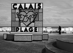 Enlèvement arbre urgence Calais
